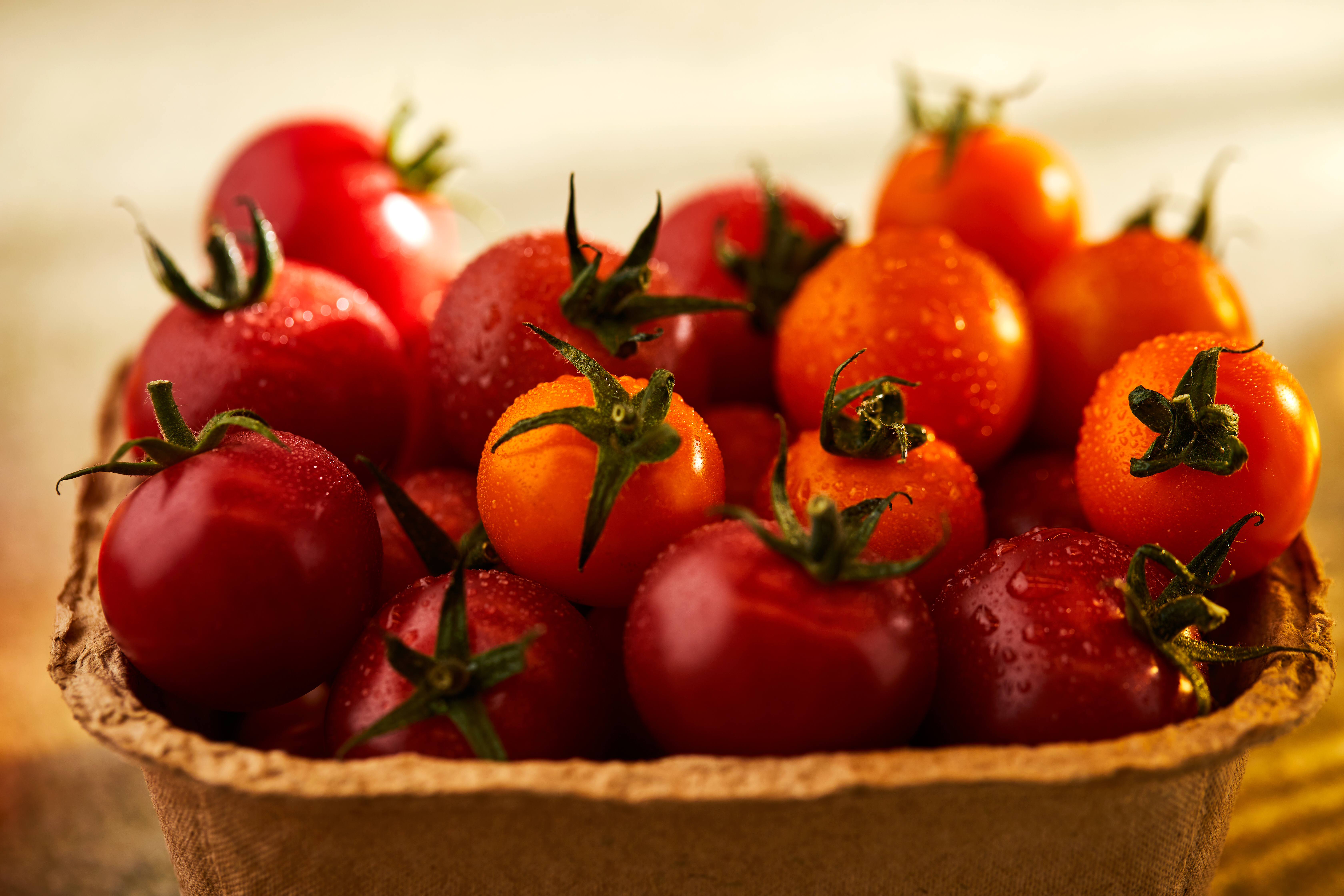 B7422_Tomato Stall_Product_Shoot_2022_Punnet_CloseUp_Landscape