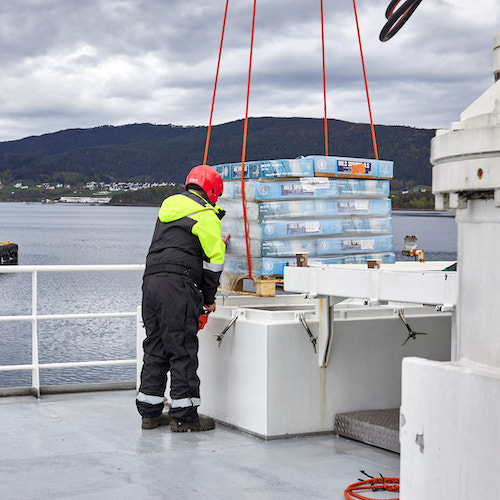 B7722_New England Seafood Company_Norway_2022_Packing_008